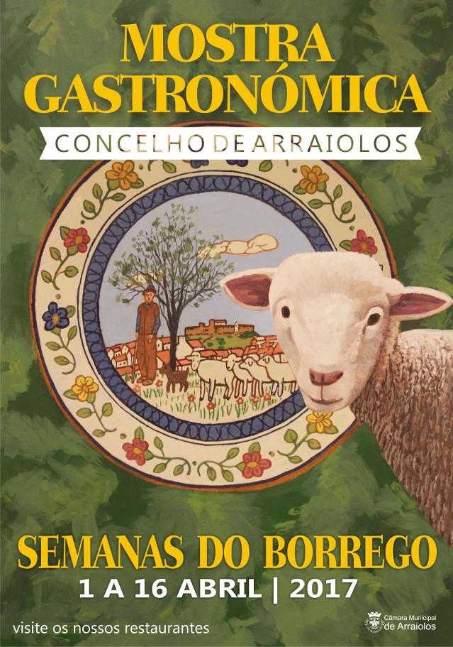 cartaz borrego 2017.jpg